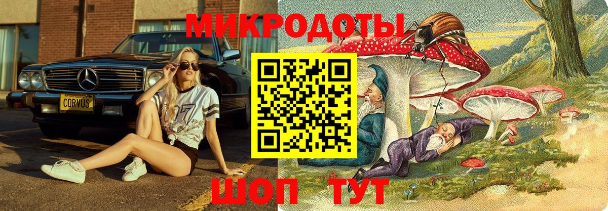 Псилоцибиновые грибы MAGIC MUSHROOMS  Галлюциногенные грибы Magic Shrooms  Куйбышев  Вход с VPN 